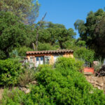 Cabane au Cœur de la Garde-Freinet – Charme Rustique et Natur