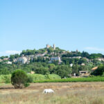 Un cheval blanc paisible broute dans une prairie dorée, devant le village perché de Grimaud et les vestiges de son château médiéval. Cette scène typique du Var illustre l’harmonie entre nature, patrimoine et culture provençale.